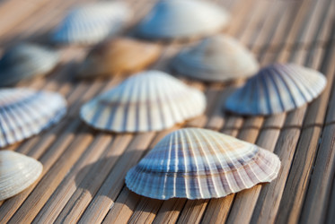 Similar image 2921239