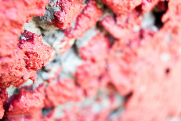 Similar image 2921242