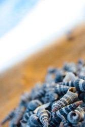 Similar image 2921247