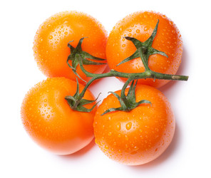 Similar image 2921248