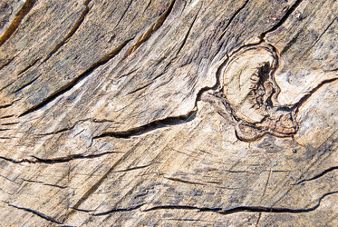 Similar image 2921250