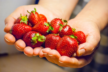 Similar image 2921254