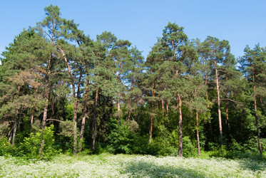 Similar image 2921256