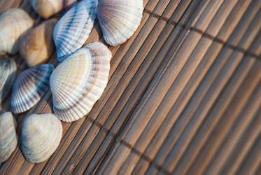 Similar image 2921262