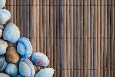 Similar image 2921263