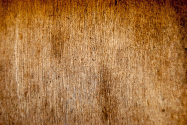 Similar image 2921264