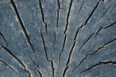 Similar image 2921267