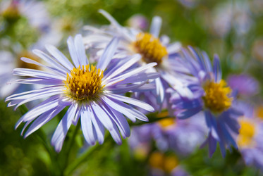 Similar image 2921275