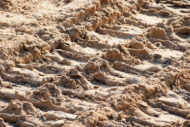 Similar image 2921282