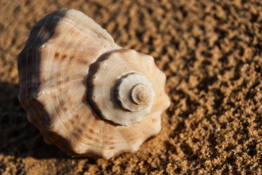 Similar image 2921285