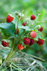 Similar image 2921290