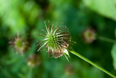 Similar image 2921292