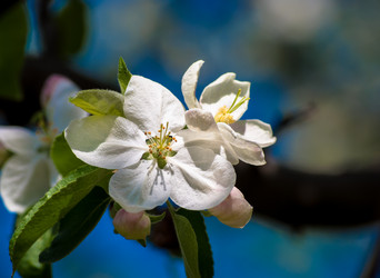 Similar image 2921306