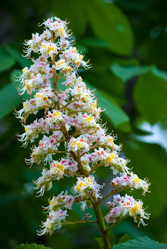 Similar image 2921309