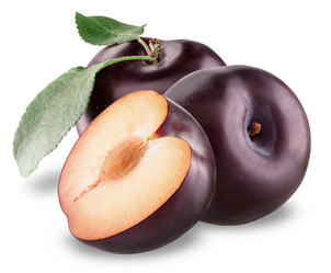 Similar image 2921337