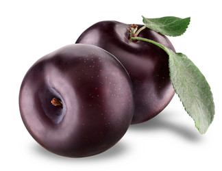 Similar image 2921338