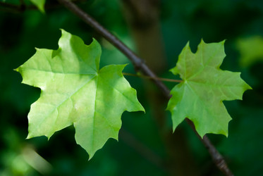 Similar image 2921351