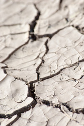 Similar image 2921353