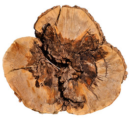 Similar image 2921355