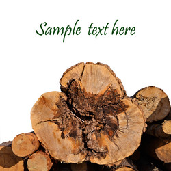 Similar image 2921362