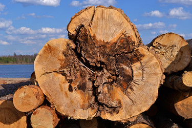 Similar image 2921364