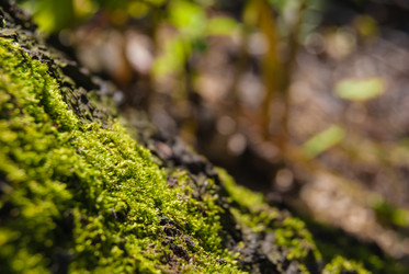 Similar image 2921371