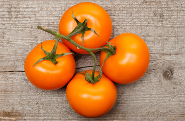 Similar image 2921374