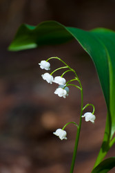 Similar image 2921375