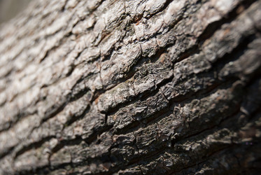 Similar image 2921376