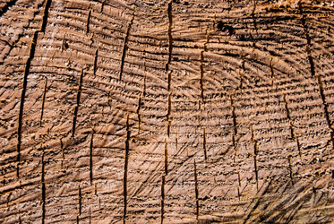 Similar image 2921377