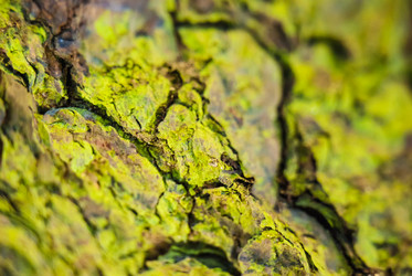 Similar image 2921379