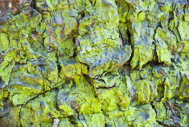 Similar image 2921380