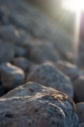 Similar image 2921381