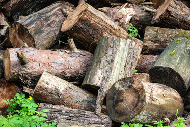 Similar image 2921383