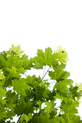 Similar image 2921386