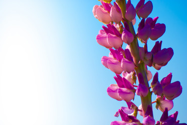 Similar image 2921410