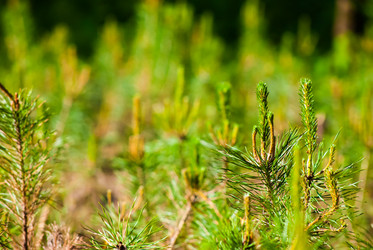 Similar image 2921413