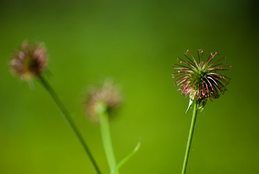 Similar image 2921414