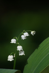 Similar image 2921424