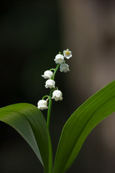 Similar image 2921426