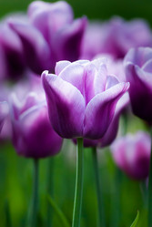 Similar image 2921432