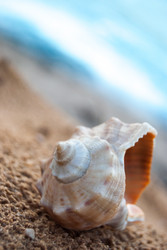 Similar image 2921433