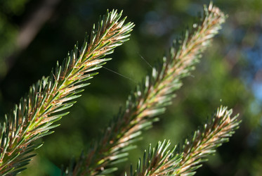 Similar image 2921435