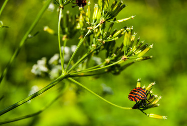 Similar image 2921439