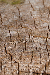 Similar image 2921446