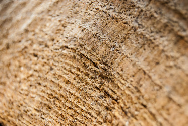 Similar image 2921447