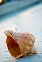 Similar image 2921448