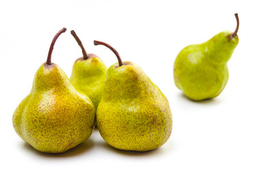 Similar image 2921449