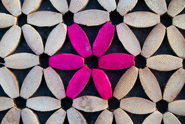 Similar image 2921462