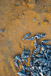 Similar image 2921465